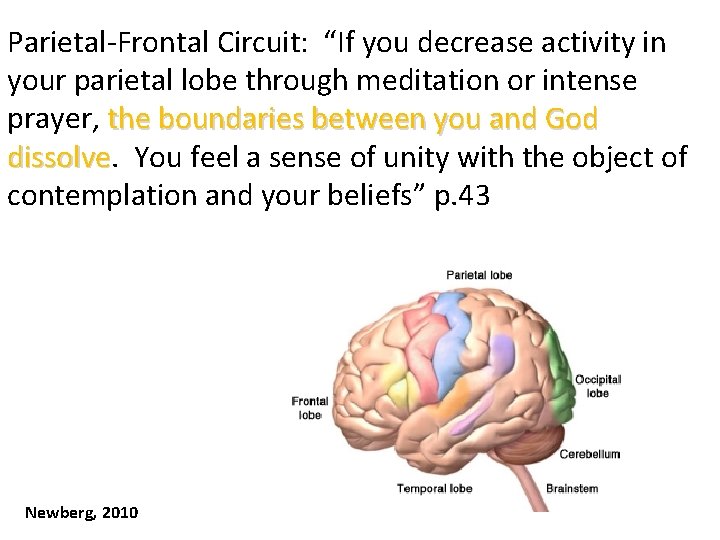 Parietal-Frontal Circuit: “If you decrease activity in your parietal lobe through meditation or intense