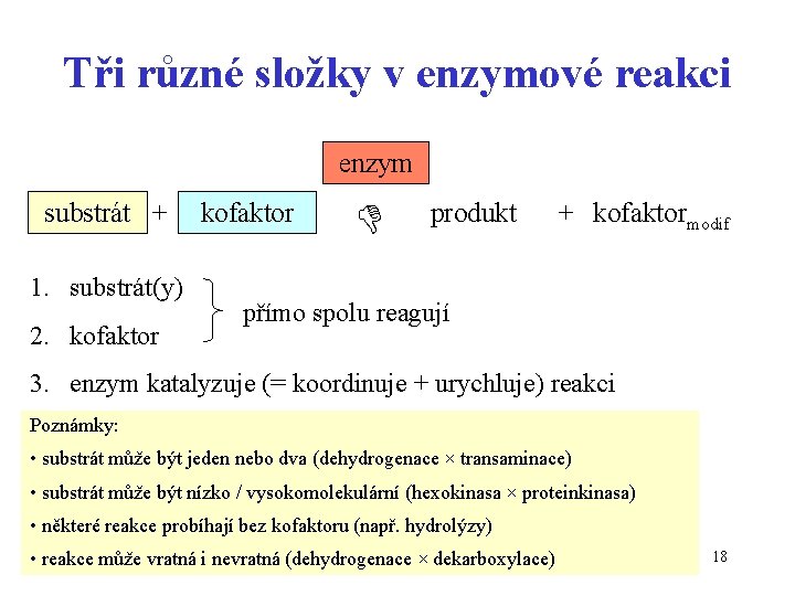 Tři různé složky v enzymové reakci enzym substrát + 1. substrát(y) 2. kofaktor produkt