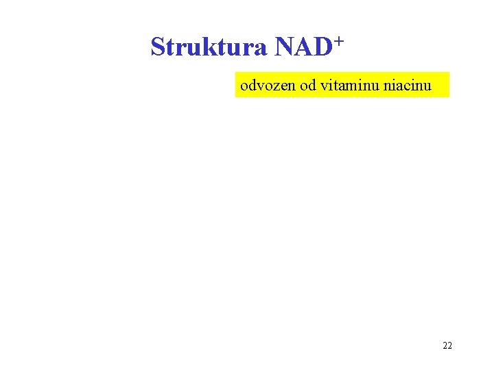 Struktura NAD+ odvozen od vitaminu niacinu 22 