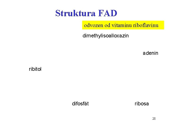 Struktura FAD odvozen od vitaminu riboflavinu dimethylisoalloxazin adenin ribitol difosfát ribosa 28 