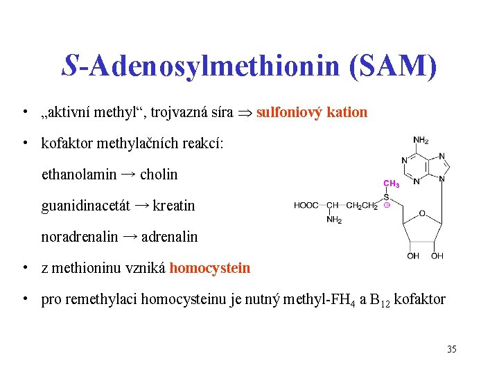 S-Adenosylmethionin (SAM) • „aktivní methyl“, trojvazná síra sulfoniový kation • kofaktor methylačních reakcí: ethanolamin