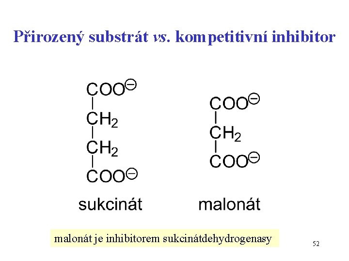 Přirozený substrát vs. kompetitivní inhibitor malonát je inhibitorem sukcinátdehydrogenasy 52 