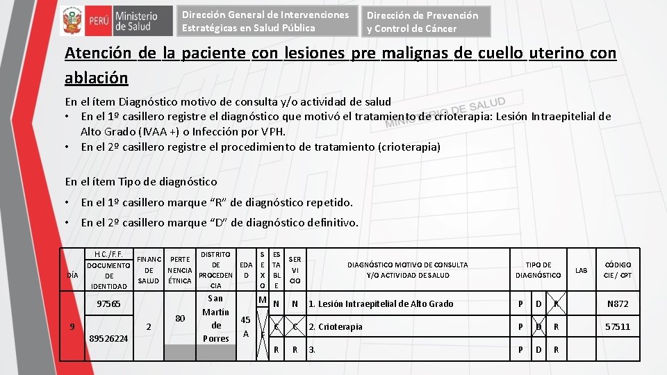 Dirección General de Intervenciones Estratégicas en Salud Pública Dirección de Prevención y Control de