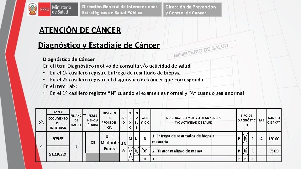 Dirección General de Intervenciones Estratégicas en Salud Pública Dirección de Prevención y Control de