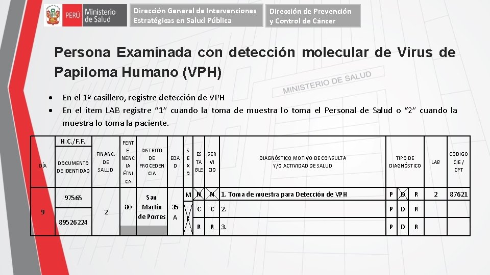 Dirección General de Intervenciones Estratégicas en Salud Pública Dirección de Prevención y Control de