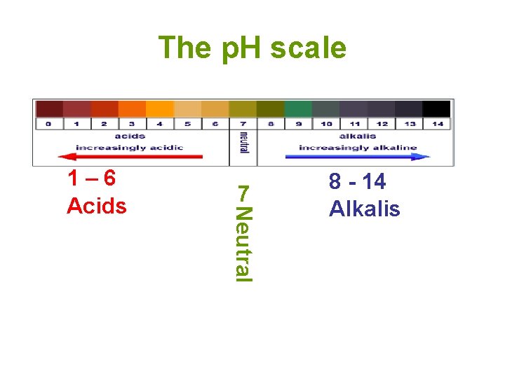 The p. H scale 7 Neutral 1– 6 Acids 8 - 14 Alkalis 