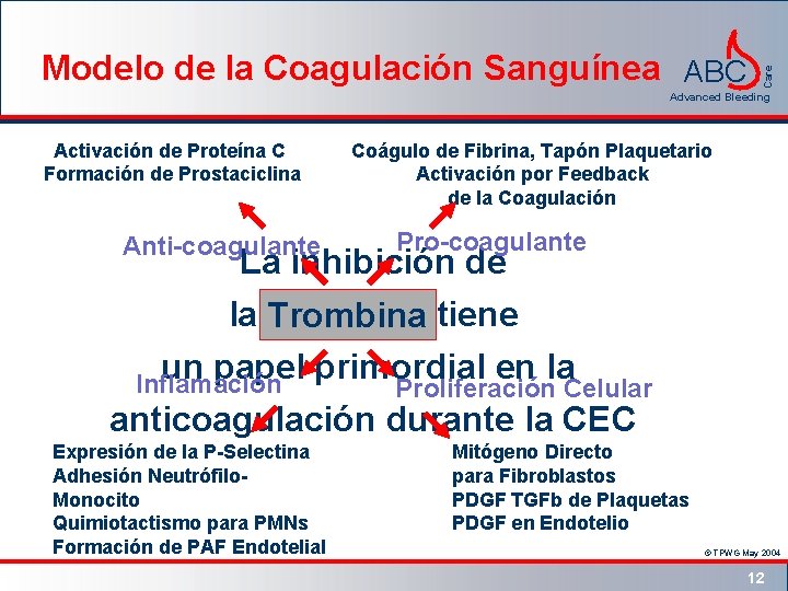 Care Modelo de la Coagulación Sanguínea ABC Advanced Bleeding Activación de Proteína C Formación