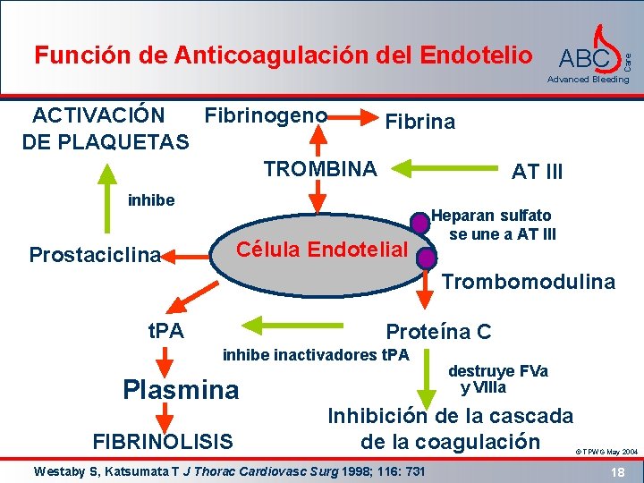 Función de Anticoagulación del Endotelio Care ABC Advanced Bleeding ACTIVACIÓN Fibrinogeno Fibrina DE PLAQUETAS