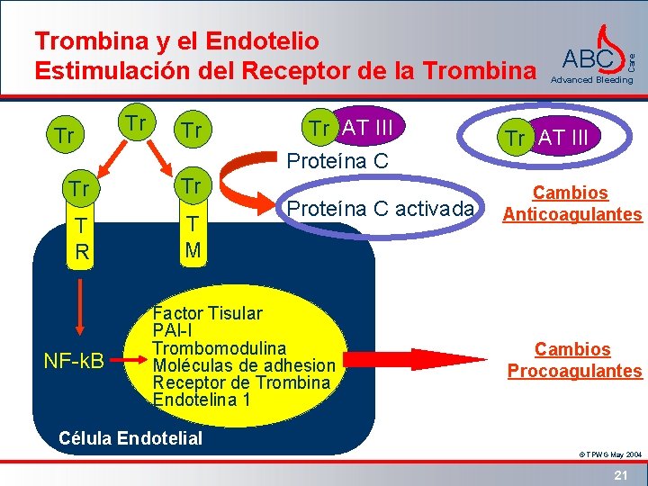 Tr Tr AT III Proteína C Tr Tr T R T M NF-k. B