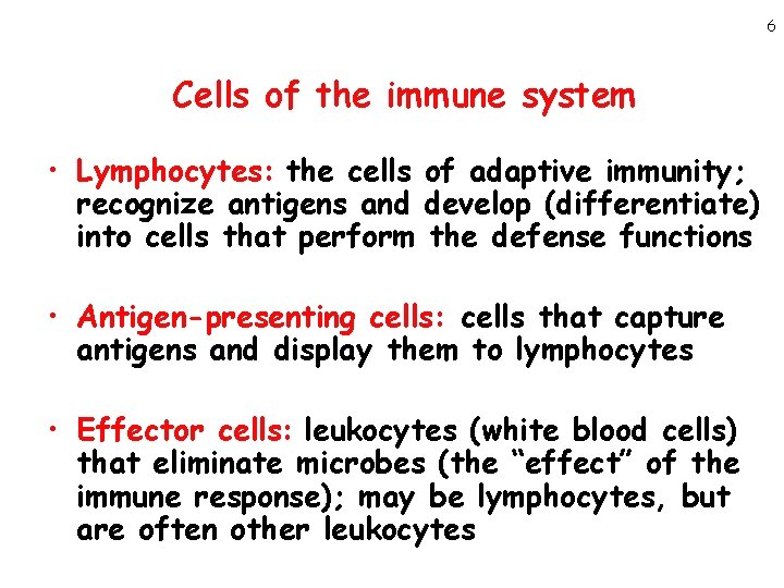 6 Cells of the immune system • Lymphocytes: the cells of adaptive immunity; recognize