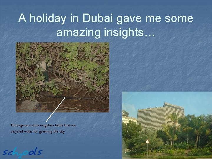 A holiday in Dubai gave me some amazing insights… Underground drip irrigation tubes that