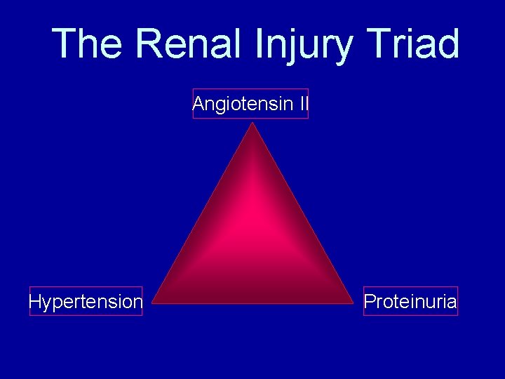 The Renal Injury Triad Angiotensin II Hypertension Proteinuria 