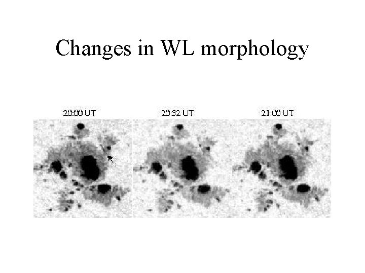 Changes in WL morphology 