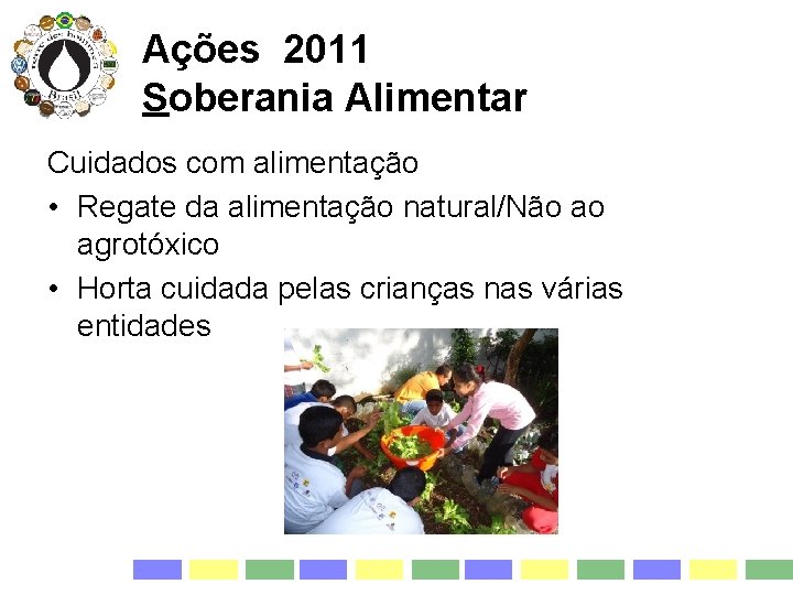 Ações 2011 Soberania Alimentar Cuidados com alimentação • Regate da alimentação natural/Não ao agrotóxico