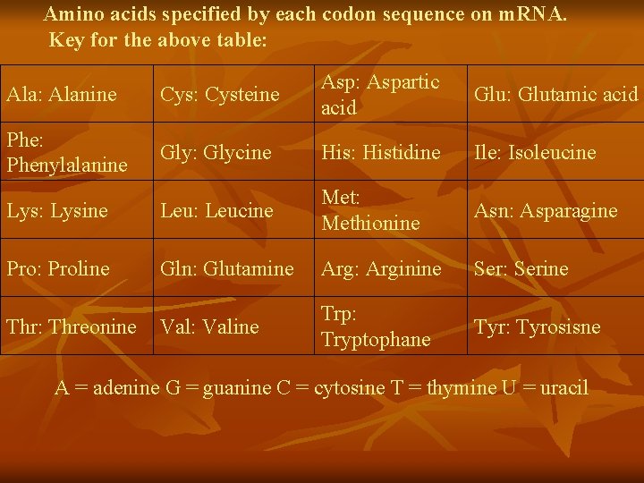 Amino acids specified by each codon sequence on m. RNA. Key for the above