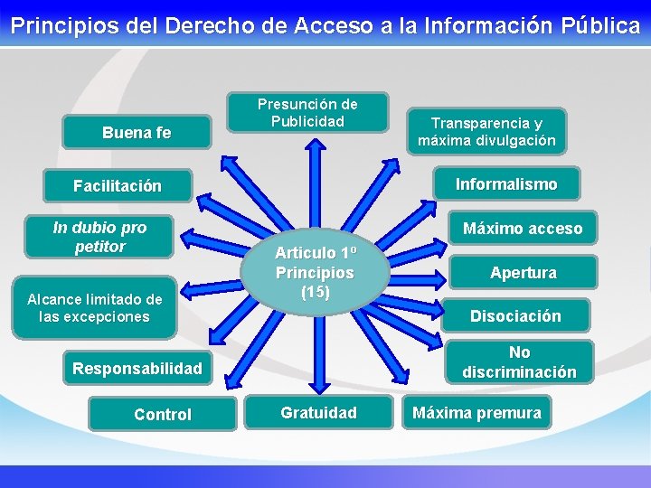 Principios del Derecho de Acceso a la Información Pública Buena fe Presunción de Publicidad