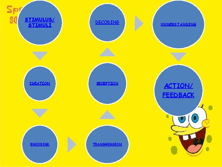 STIMULUS/ STIMULI DECODING IDEATION RECEPTION UNDERSTANDING ACTION/ FEEDBACK ENCODING TRANSMISSION 