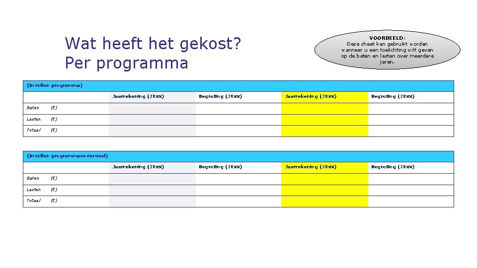 Wat heeft het gekost? Per programma VOORBEELD: Deze sheet kan gebruikt worden wanneer u