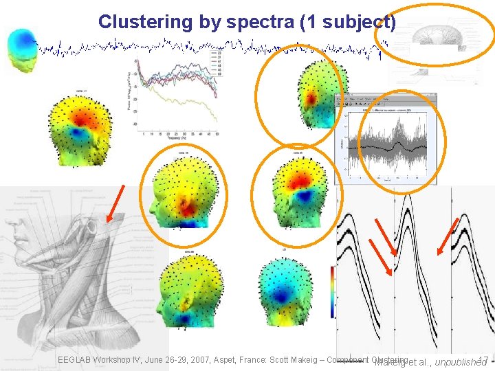 Clustering by spectra (1 subject) EEGLAB Workshop IV, June 26 -29, 2007, Aspet, France: