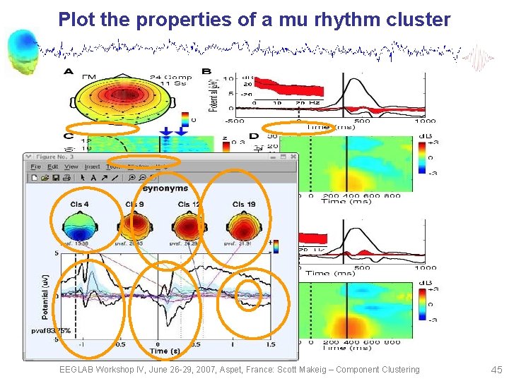 Plot the properties of a mu rhythm cluster EEGLAB Workshop IV, June 26 -29,