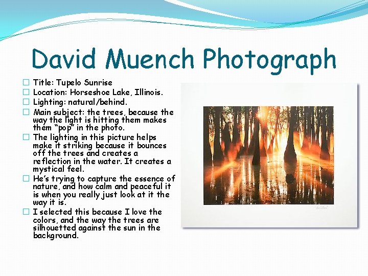 David Muench Photograph Title: Tupelo Sunrise Location: Horseshoe Lake, Illinois. Lighting: natural/behind. Main subject: