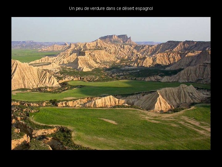 Un peu de verdure dans ce désert espagnol . . 