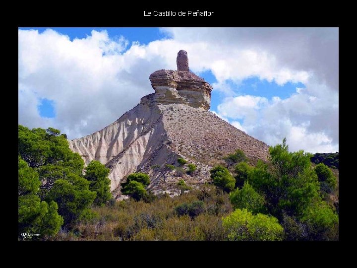 Le Castillo de Peñaflor . . 