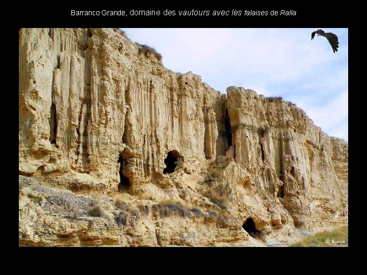 Barranco Grande, domaine des vautours avec les falaises de Ralla . 