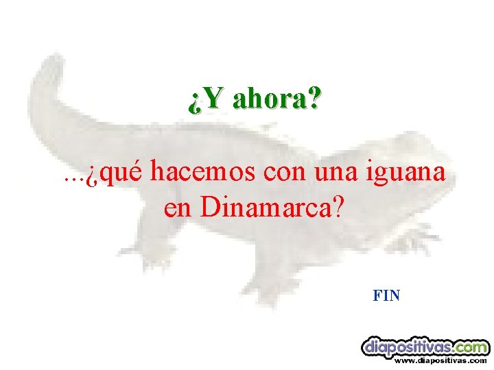 ¿Y ahora? . . . ¿qué hacemos con una iguana en Dinamarca? FIN 