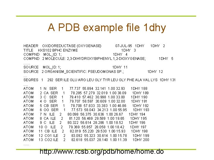 A PDB example file 1 dhy HEADER OXIDOREDUCTASE (OXYGENASE) 07 -JUL-95 1 DHY 2