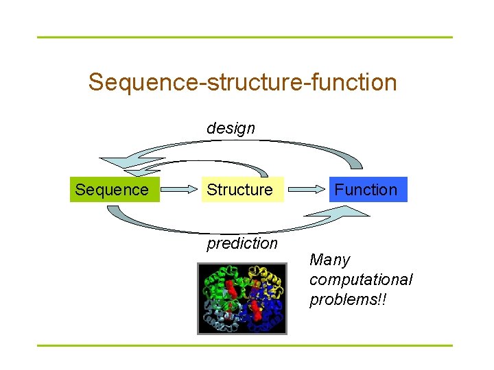Sequence-structure-function design Sequence Structure prediction Function Many computational problems!! 