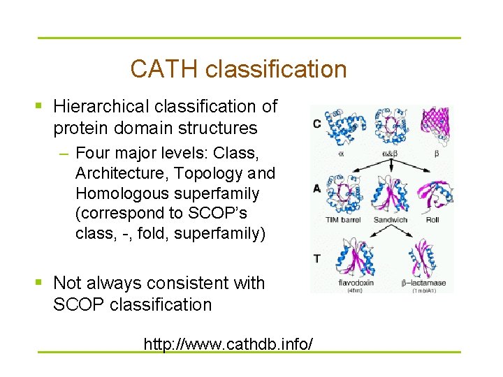 CATH classification § Hierarchical classification of protein domain structures – Four major levels: Class,