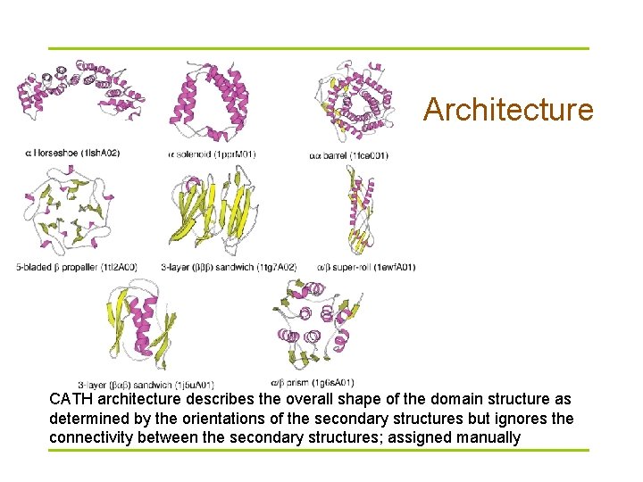 Architecture CATH architecture describes the overall shape of the domain structure as determined by