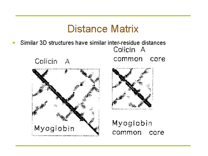 Distance Matrix § Similar 3 D structures have similar inter-residue distances 