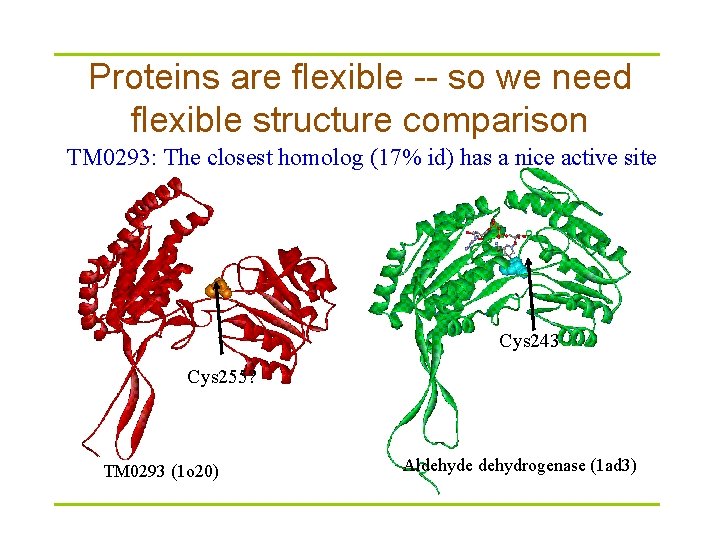 Proteins are flexible -- so we need flexible structure comparison TM 0293: The closest