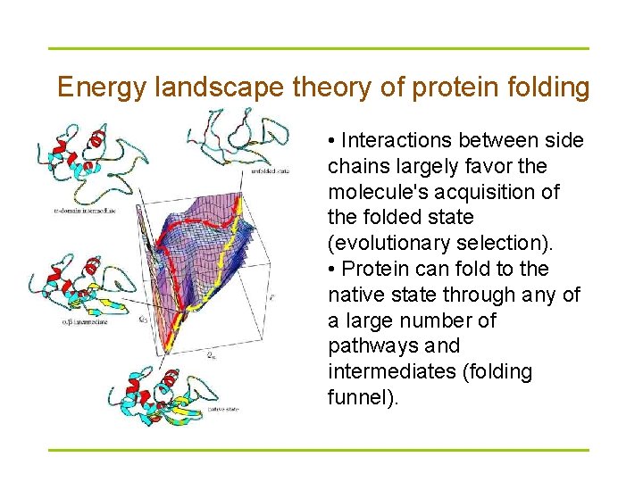 Energy landscape theory of protein folding • Interactions between side chains largely favor the