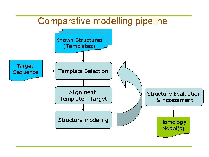 Comparative modelling pipeline Known Structures (Templates) Target Sequence Template Selection Alignment Template - Target