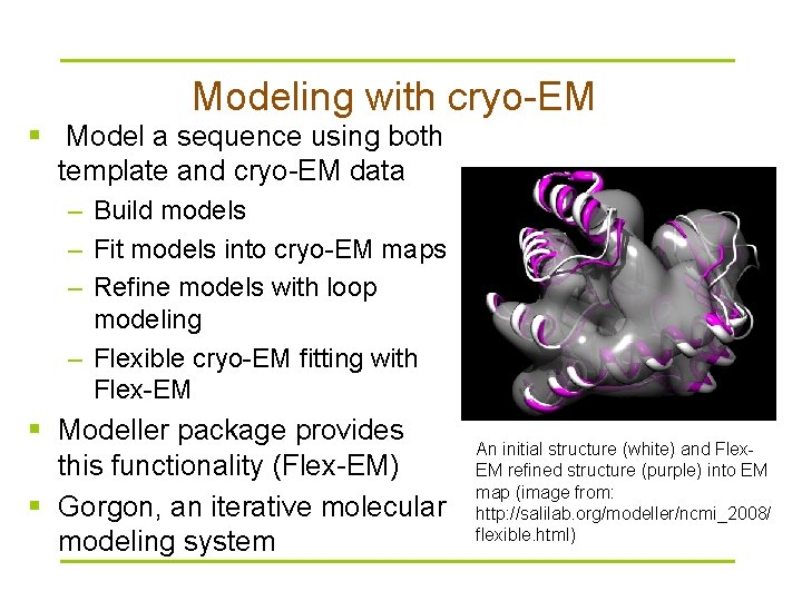 Modeling with cryo-EM § Model a sequence using both template and cryo-EM data –