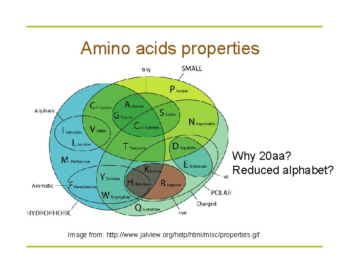 Amino acids properties Why 20 aa? Reduced alphabet? Image from: http: //www. jalview. org/help/html/misc/properties.