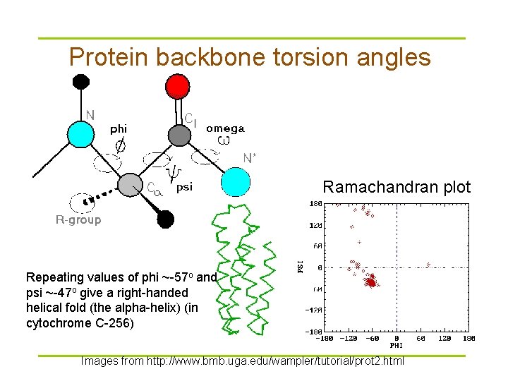 Protein backbone torsion angles Ramachandran plot Repeating values of phi ~-57 o and psi