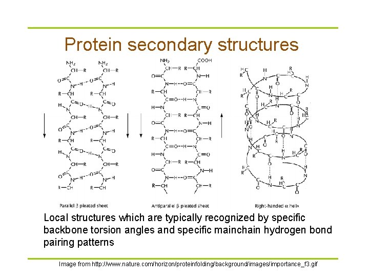 Protein secondary structures Local structures which are typically recognized by specific backbone torsion angles