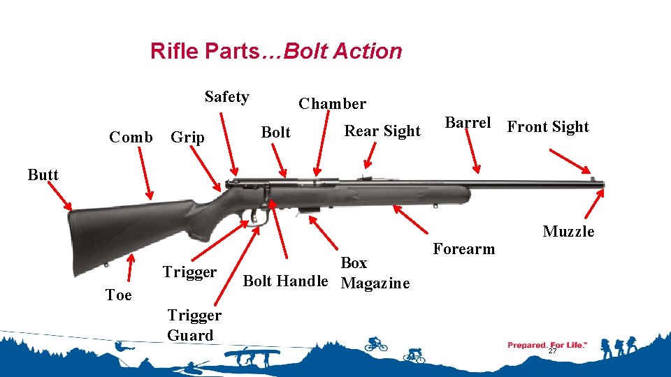 Rifle Parts…Bolt Action Safety Comb Grip Chamber Bolt Rear Sight Barrel Front Sight Butt