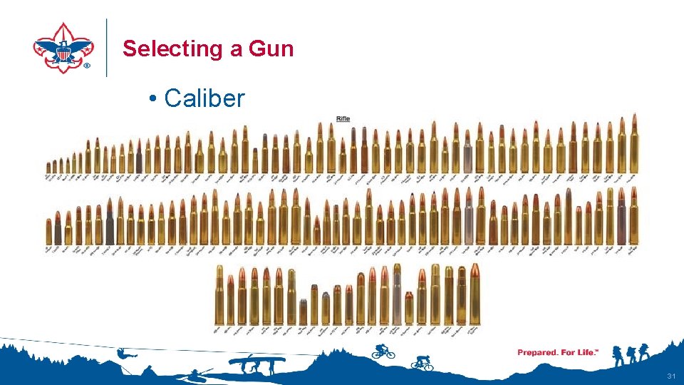 Selecting a Gun • Caliber 31 