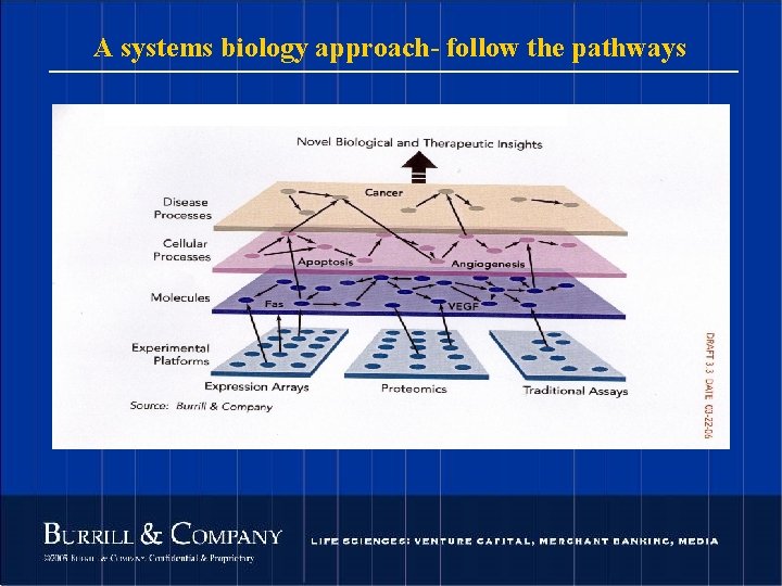 A systems biology approach- follow the pathways 32 © 2004 Burrill & Company. Confidential