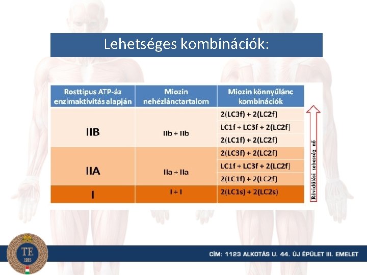 Lehetséges kombinációk: 