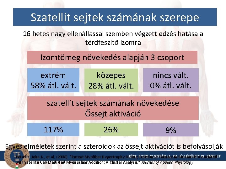 Szatellit sejtek számának szerepe 16 hetes nagy ellenállással szemben végzett edzés hatása a térdfeszítő