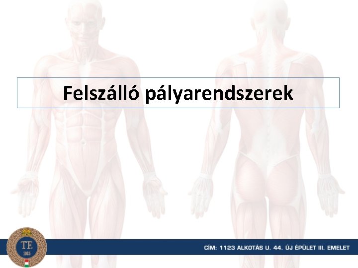 Felszálló pályarendszerek 