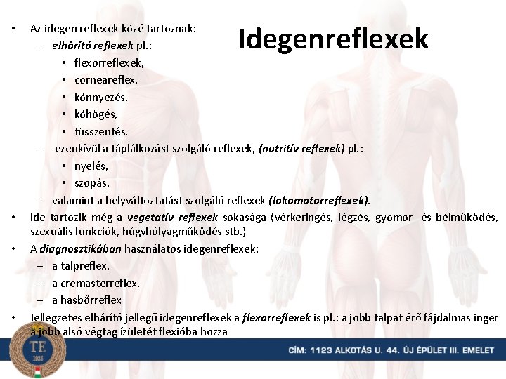  • • Idegenreflexek Az idegen reflexek közé tartoznak: – elhárító reflexek pl. :