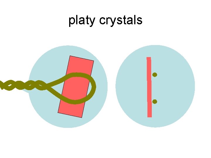 platy crystals 