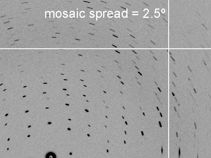 mosaic spread = 2. 5º 